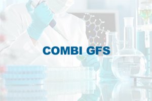 COMBI GFS